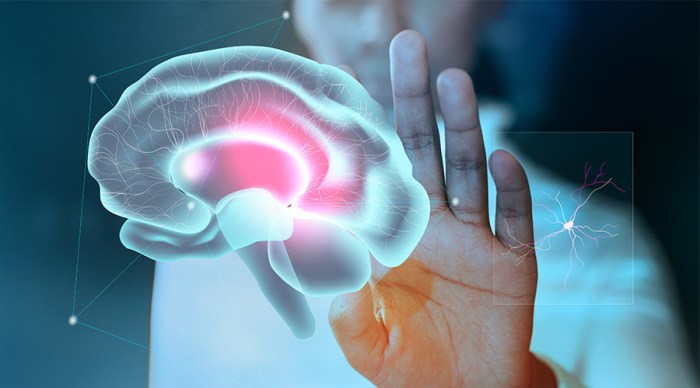 Breakthroughs therapies crispr decade organs